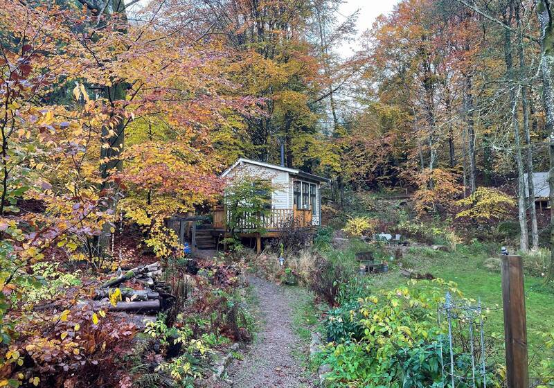 瑞典南部的旅游推广单位日前推出让游客入住森林小屋并要求保持安静的宁静观光。图为上月28日拍摄、位于瑞南斯坎尼的赫尔的「静谧小屋」。（法新社）