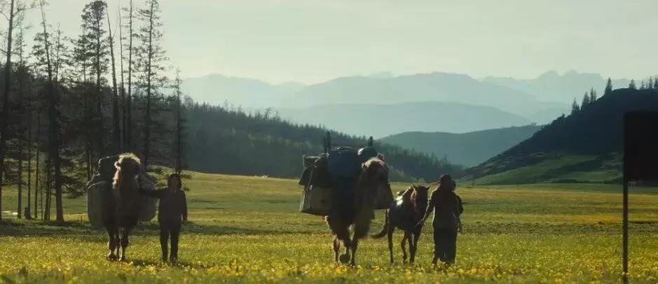 北上广疯抢的天价奶皮子,内蒙人看了又气又笑