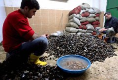 可怕!德国家庭赴土耳其旅游 享用街头小吃后3死1重病