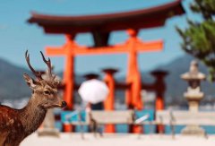 名产太便宜或携带不便？日本旅游趋势分析：老外爱去广岛却花得少