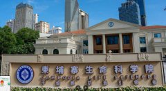 婴儿脊髓成回春原料？惊见太子集团和湖南官方