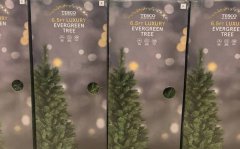 英国特易购将耶诞树改名「常青树」 网友怒：愚蠢的觉醒行为