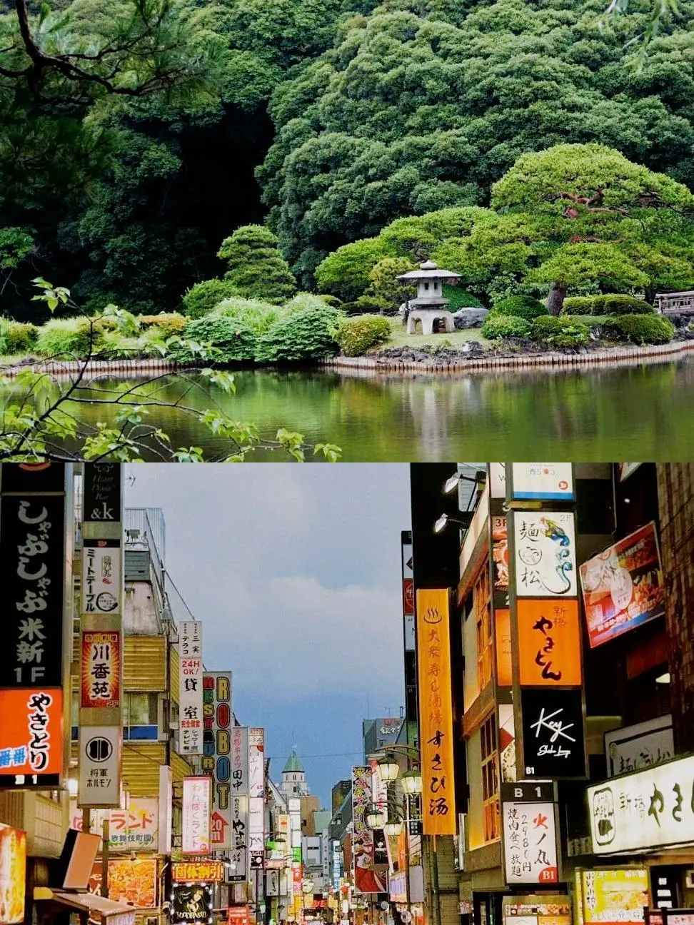 图片来源于网络