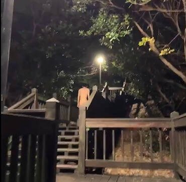 陈宥丞指出，近日民众反映南港公园夜半出现野裸族，还有人在社群揪团一起裸露。（陈宥丞研究室提供）