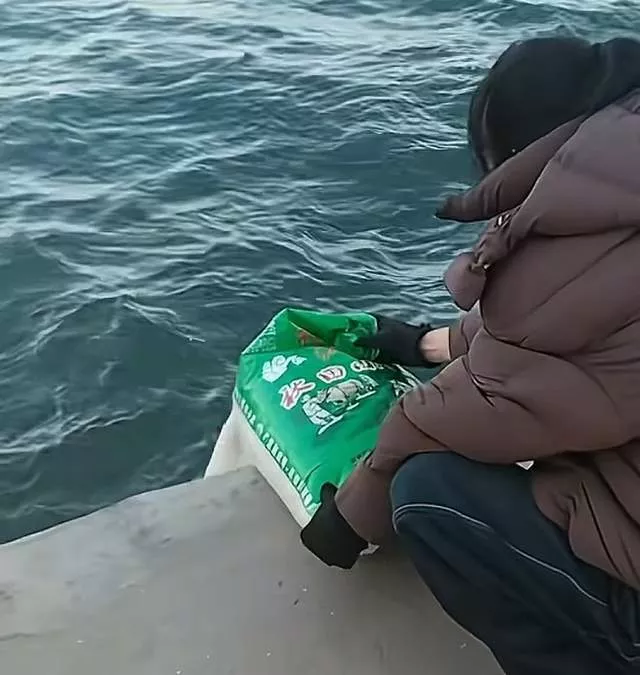 辽宁葫芦岛多人往海里倾倒大米，口中还念念有词