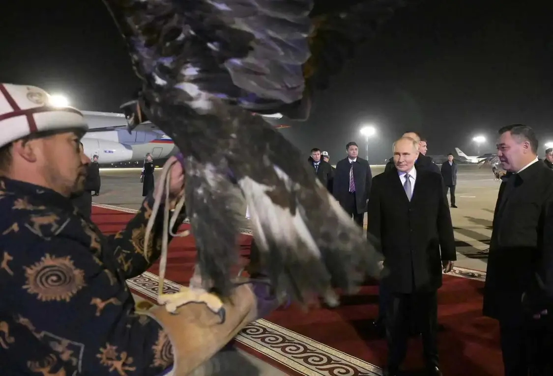 普京出访吉尔吉斯斯坦，当地派金雕猎犬出场接机