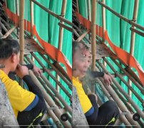 工人抽烟影片疯传 住户「一语成谶」：上个月就担心抽烟酿鹰架失火