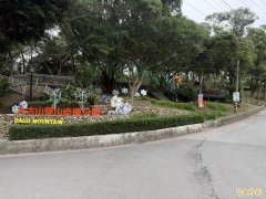 桃园夜景胜地大古山暗夜惊魂！ 芦竹警迅速缉获偷拍狼