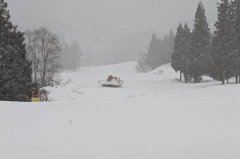 在日本滑雪场迷路受困1夜！为何偏离雪道 台湾游客：以为可以过去