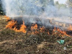 彰化2天18起扫墓火警 13处火灾热点墓区曝