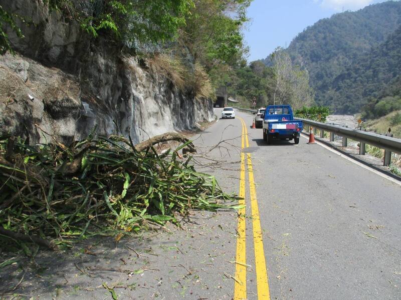 台中市和平区东关路一段（台8线30.5公里处）山壁上的树木突整个掉落砸中行经的车辆。（民众提供）