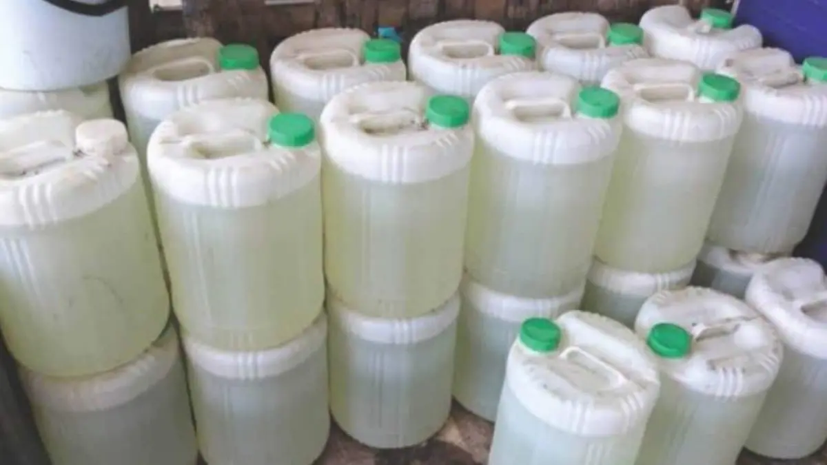 ▲泰国爆发假椰子水案，背后又有中国投资者作祟。 （图/翻摄自Matichon YouTube）