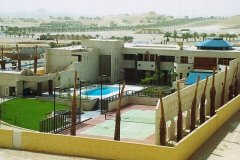 利雅德使馆区爆炸起火 传美驻沙国大使馆遭无人机袭击