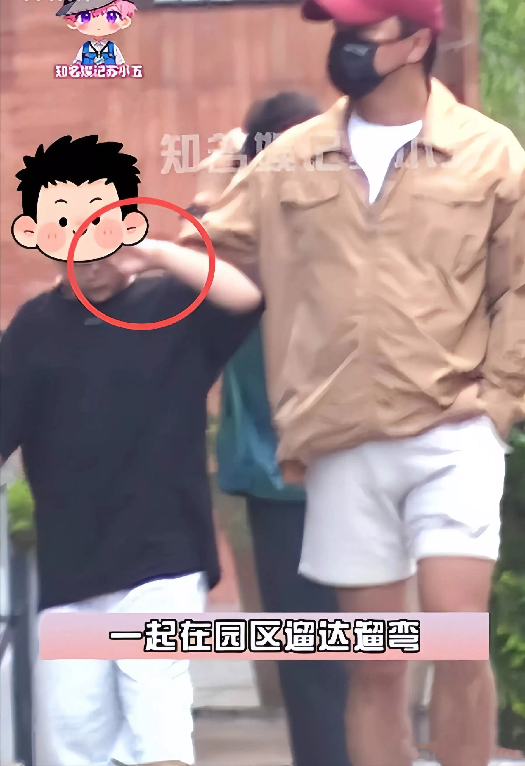 文章配图-8