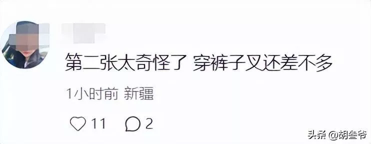 文章配图-3
